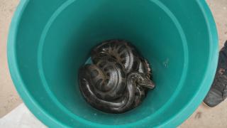 WhatsApp Image 2020-10-19 at 11.03.36 (1)