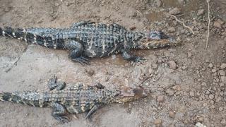 WhatsApp Image 2020-10-19 at 11.03.36 (3)