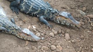 WhatsApp Image 2020-10-19 at 11.03.36 (4)