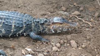 WhatsApp Image 2020-10-19 at 11.03.36 (5)