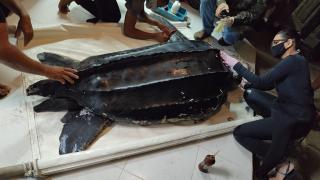 WhatsApp Image 2020-10-24 at 22.43.58