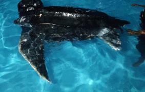 WhatsApp Image 2020-10-24 at 23.48.42