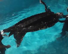 WhatsApp Image 2020-10-24 at 23.48.49