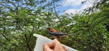 WhatsApp Image 2020-10-29 at 13.05.44