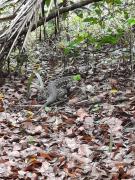 WhatsApp Image 2020-10-29 at 13.09.32