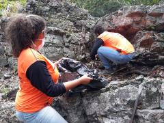 WhatsApp Image 2020-11-11 at 16.52.49