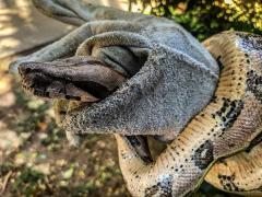 WhatsApp Image 2020-12-09 at 15.10.57