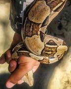 WhatsApp Image 2020-12-09 at 15.10.58