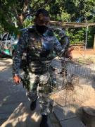 WhatsApp Image 2020-12-09 at 16.59.12