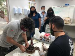 WhatsApp Image 2020-12-10 at 16.30.57