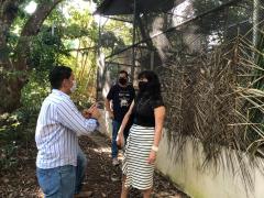 WhatsApp Image 2020-12-10 at 16.31.00