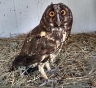 WhatsApp Image 2020-12-14 at 12.53.11