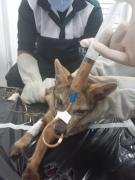 WhatsApp Image 2020-12-29 at 09.05.42