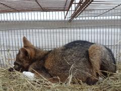 WhatsApp Image 2020-12-29 at 09.05.43 (1)