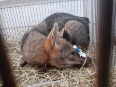 WhatsApp Image 2020-12-29 at 09.05.43