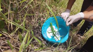 WhatsApp Image 2021-01-22 at 18.38.07 (1)