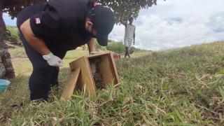 WhatsApp Image 2021-01-22 at 18.38.08