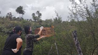 WhatsApp Image 2021-01-22 at 18.38.10