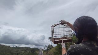 WhatsApp Image 2021-01-25 at 12.06.28