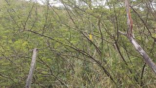 WhatsApp Image 2021-01-25 at 12.09.13