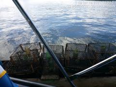 WhatsApp Image 2021-02-03 at 15.24.28