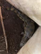 WhatsApp Image 2021-02-03 at 15.27.06 (1)