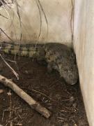 WhatsApp Image 2021-02-03 at 15.27.06