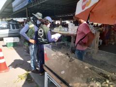 WhatsApp Image 2021-02-05 at 10.13.46