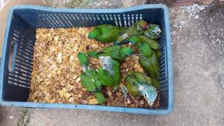 WhatsApp Image 2021-02-19 at 16.39.13 (3)