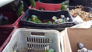 WhatsApp Image 2021-02-19 at 16.39.13 (4)