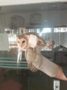 WhatsApp Image 2021-02-25 at 15.00.22