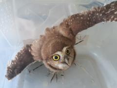 WhatsApp Image 2021-02-25 at 15.34.21