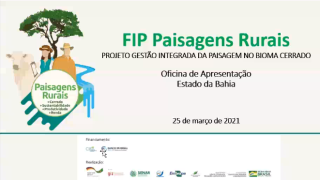FIP PRINT