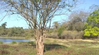 WhatsApp Image 2021-03-26 at 09.50.00 (2)