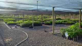 WhatsApp Image 2021-03-26 at 09.50.00