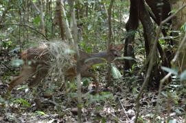 WhatsApp Image 2021-04-06 at 15.36.49 (1)