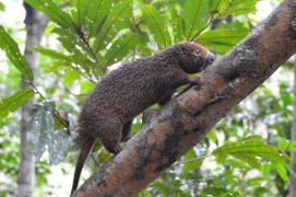 WhatsApp Image 2021-04-06 at 15.36.49