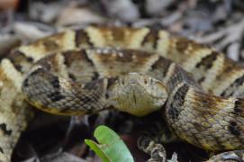 WhatsApp Image 2021-04-06 at 15.36.50