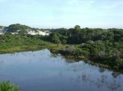 WhatsApp Image 2021-04-09 at 13.57.36 (1)