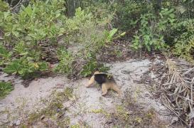 WhatsApp Image 2021-04-09 at 16.44.56 (1)