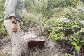 WhatsApp Image 2021-04-09 at 16.44.56 (3)