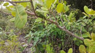 WhatsApp Image 2021-04-09 at 16.44.57 (1)