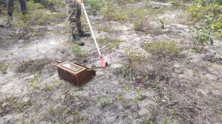 WhatsApp Image 2021-04-09 at 16.44.58