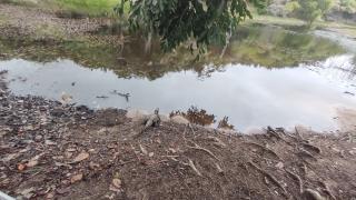 WhatsApp Image 2021-04-09 at 16.45.00 (2)