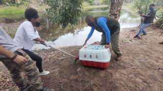 WhatsApp Image 2021-04-09 at 16.45.00 (3)