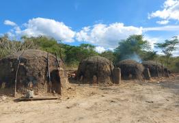 WhatsApp Image 2021-04-14 at 09.51.47