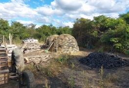 WhatsApp Image 2021-04-14 at 09.51.48 (2)