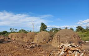 WhatsApp Image 2021-04-14 at 09.51.48