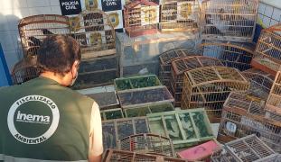 WhatsApp Image 2021-04-27 at 12.34.00