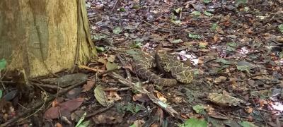 WhatsApp Image 2021-05-07 at 16.58.43